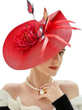 La boutique du chapeau Chapeau Fascinator Plumes
