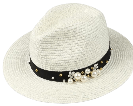 La boutique du chapeau fédora Chapeaux Panama